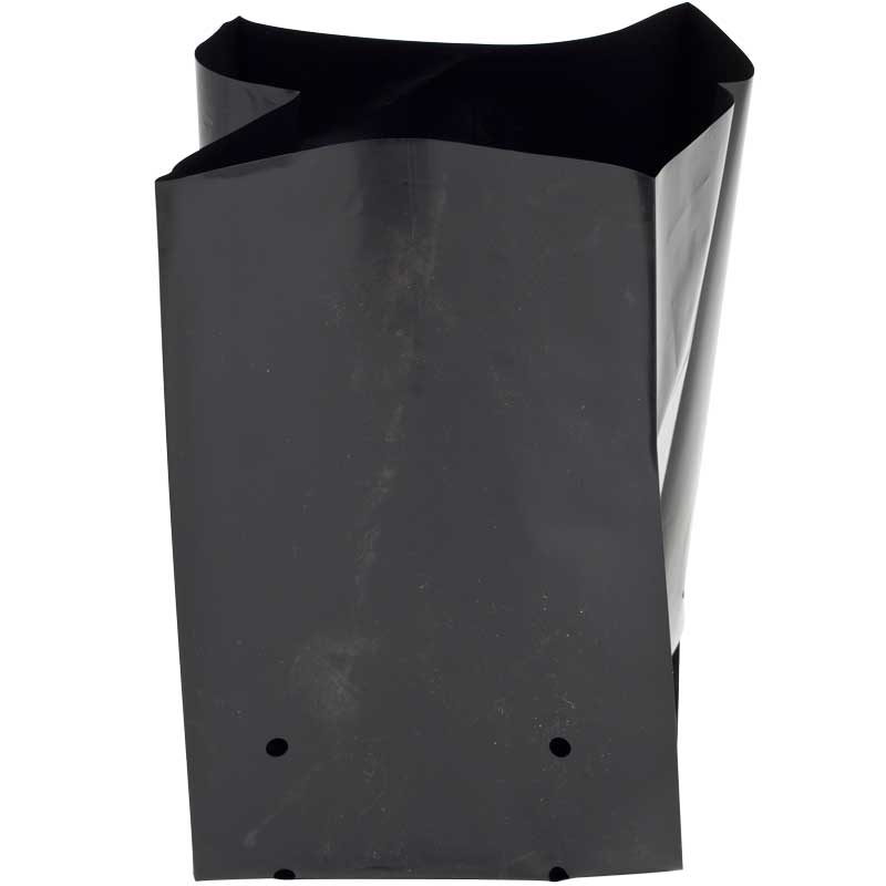 Buy Black Plastic Grow Bags - Online - Cannabis and Plants